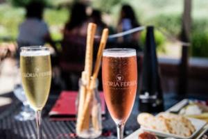 中国世界杯，历史与荣耀中国世界杯赢过