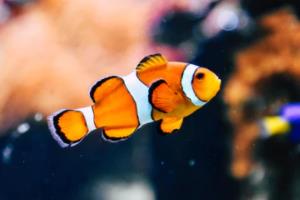 2022年卡塔尔世界杯，全面解析全部赛事战绩2022世界杯全部战绩图