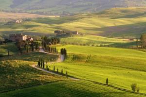 世界杯决赛，历史的见证与未来的启示世界杯决赛背景